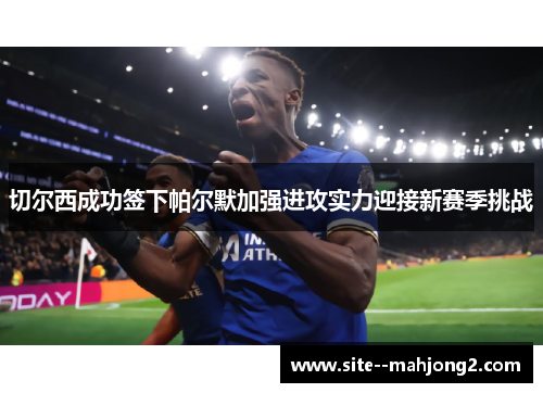 切尔西成功签下帕尔默加强进攻实力迎接新赛季挑战