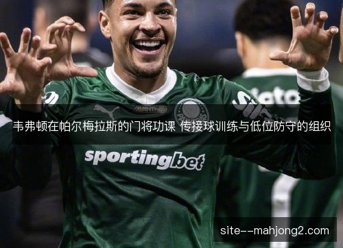 韦弗顿在帕尔梅拉斯的门将功课 传接球训练与低位防守的组织 韦弗顿在帕尔梅拉斯的门将功课 传接球训练与低位防守的组织